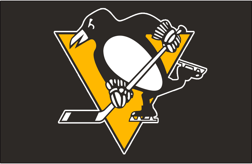 Pittsburgh Penguins 2016-Pres Jersey Logo v2 DIY iron on transfer (heat transfer)